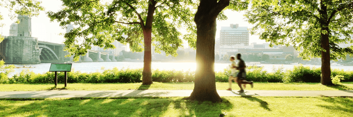 With various control measures in place throughout the year, the prevelance of mosquito and mosquito-borne diseases can be decreased. 