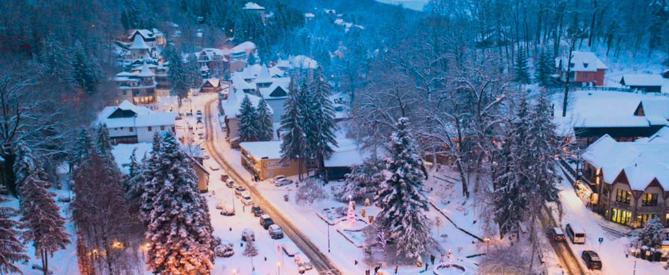 Town in winter from above