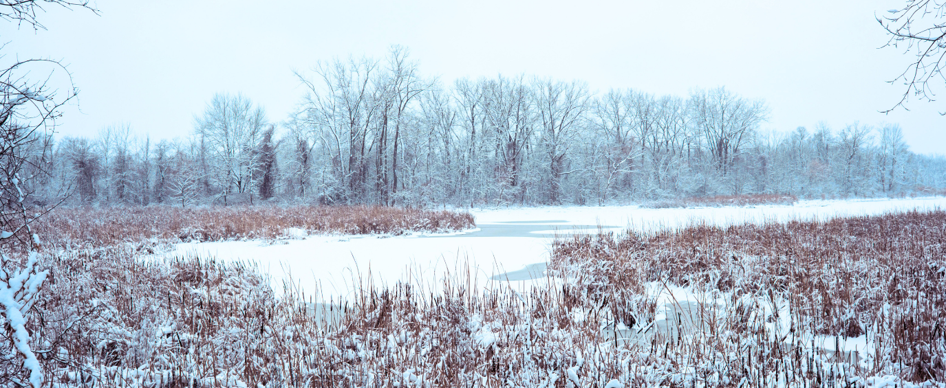 Winterlization Mosquito Control Winterization Guide for Pest Professionals