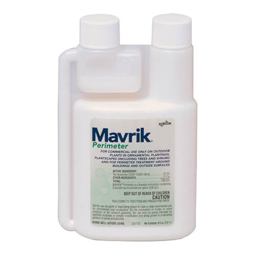 Square jug of the Mavrik Perimeter product