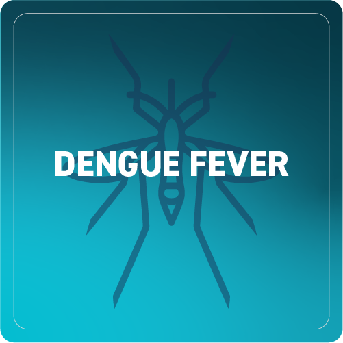 Dengue Fever