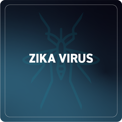 Zika Virus