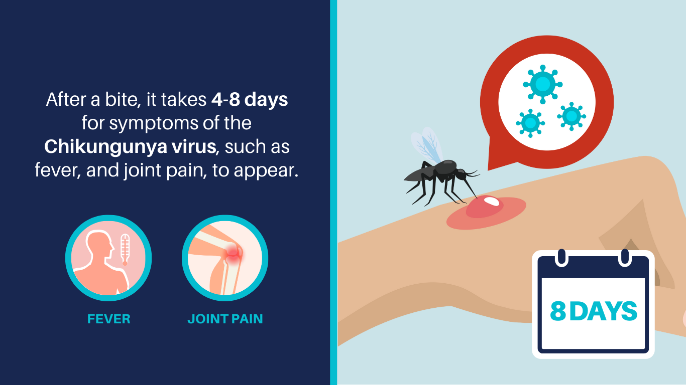 2-Chikungunya Virus - Symptoms