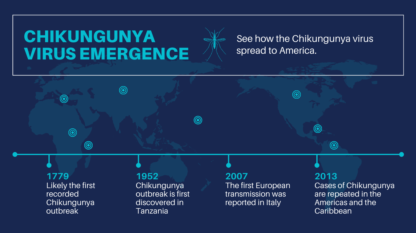 Z2-Chikungunya Virus Emergence