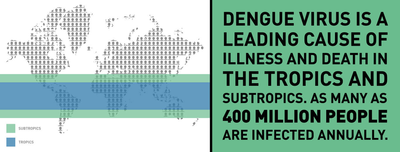 Dengue Virus is a leading cause of illness and death in the tropics and subtropics. As many as 400 million people are infected annually.