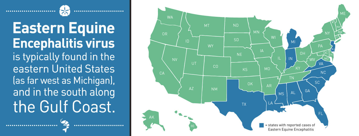 Eastern Equine Encephalitis Virus is typically found in the Eastern United States (as far west as Michigan) and in the south along the Gulf Coast.