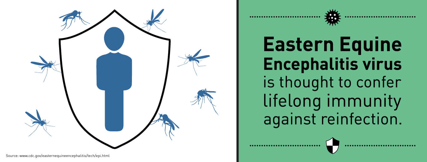 Eastern Equine Encephalitis Virus is thought to confer lifelong immunity against reinfection.