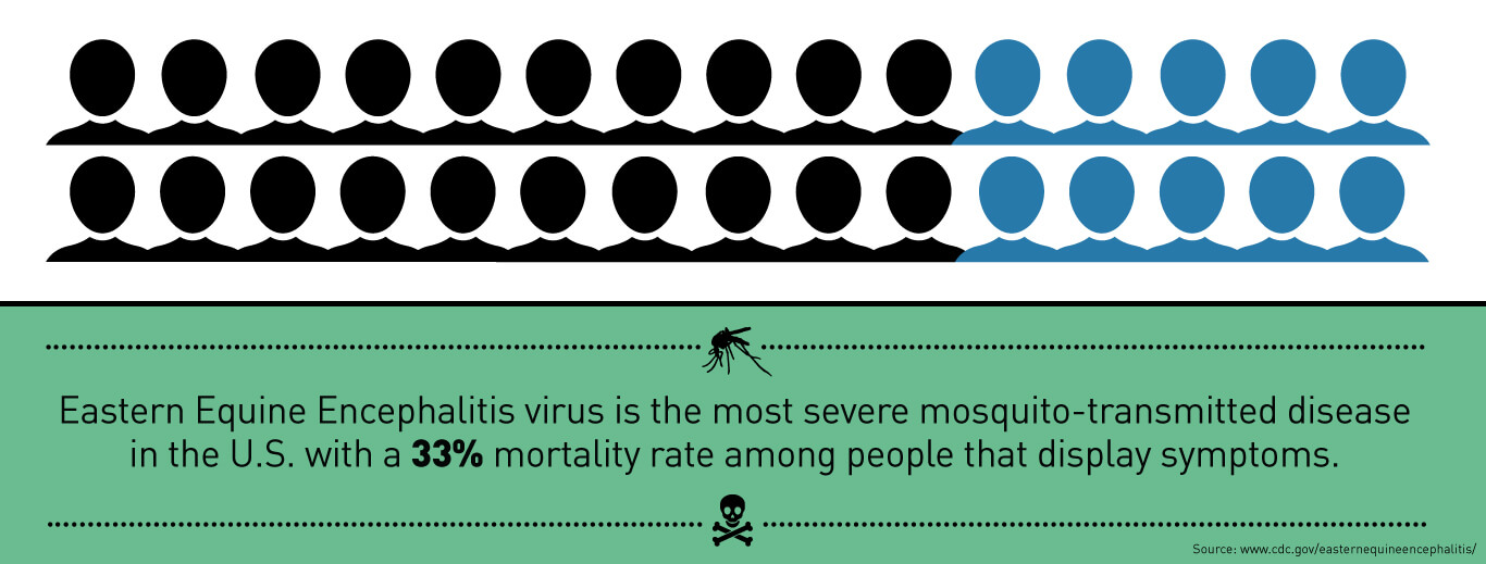 Eastern Equine Encephalitis Virus is the most severe mosquito-transmitted disease in the U.S. with a 33% mortality rate among people that display symptoms.