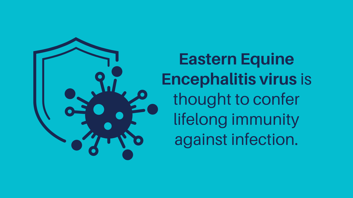 2-Encephalitis immunity