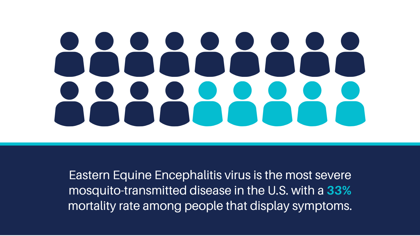 2-Equine mortality rate