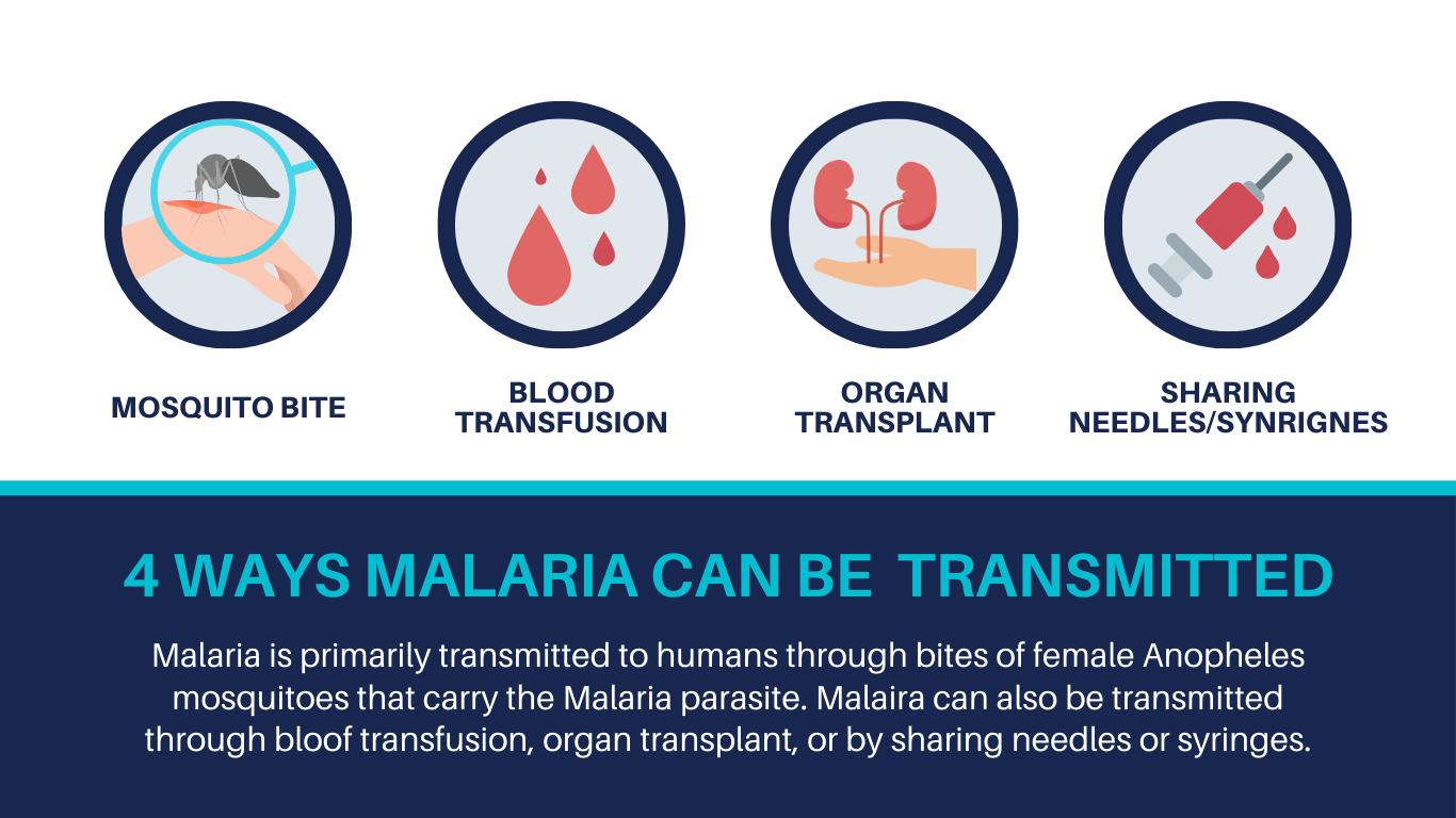 MalariaTransmission
