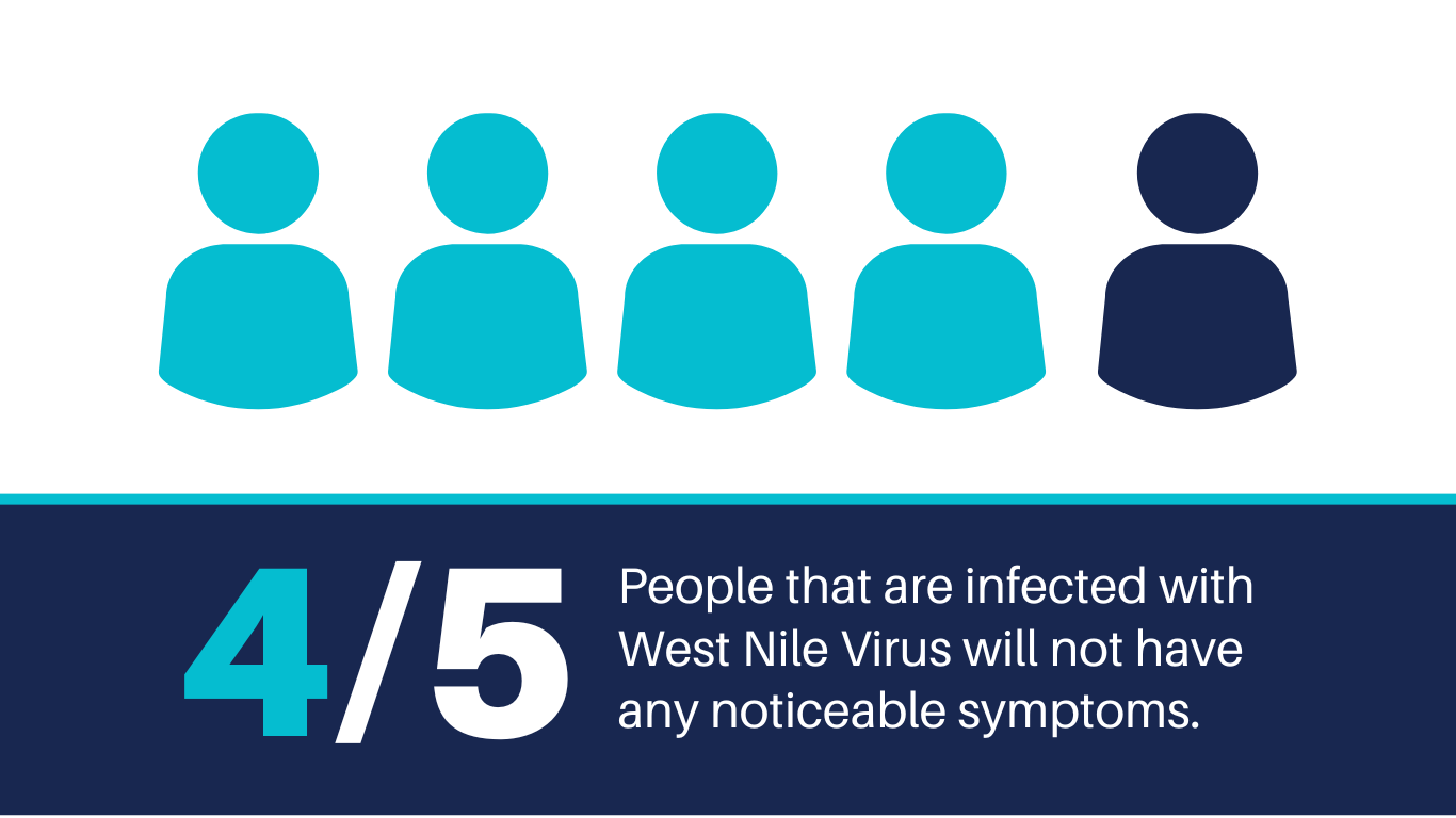 4 out of 5 people that are infected with West Nile Virus will not have any noticeable symptoms.