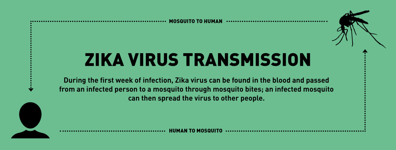 Zika Virus transmission