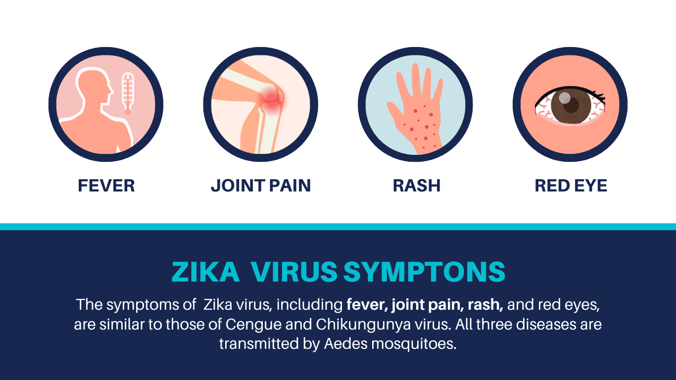 2-Zika Virus Symptoms 2024